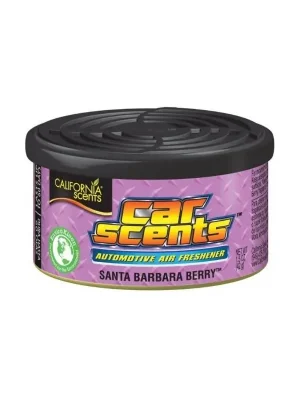 Flitsaanbieding California Scents Car Scents (Lesní ovoce) 42 g